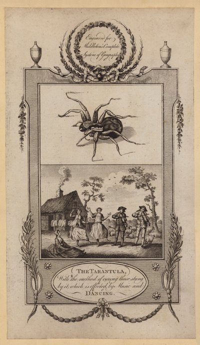 Tarantule, s metodou léčení těch, kdo ji píchli, která se provádí hudbou a tancem (rytina) od English School
