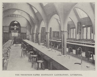 Závěsný od English School