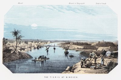 Tigris v Ninive (barevná rytina) od English School
