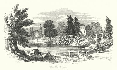 Wey Bridge (rytina) od English School