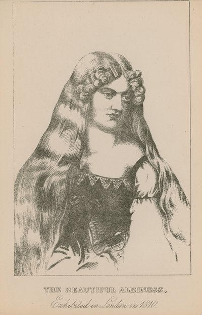 Krásná albiness, vystavená v Londýně v roce 1810 od English School