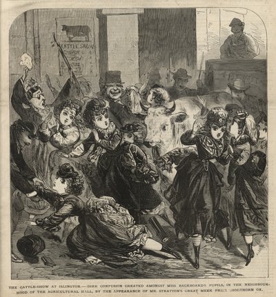 Výstava dobytka v Islingtonu od English School