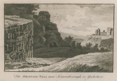 Shazovací studna poblíž Knaresborough v Yorkshire od English School