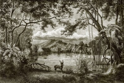 Kouzelné jezero na filipínském ostrově od English School