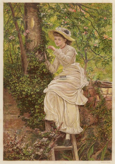 Pěstounská matka: mladá žena krmící osiřelá ptačí kuřátka v hnízdě (barva litho) od English School