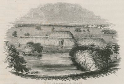 Velký Palm House v Royal Gardens, Kew, Londýn od English School