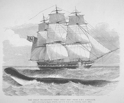 Velký mořský had, když byl poprvé spatřen z HMS Daedalus v roce 1848, kolem roku 1848 (rytina) od English School
