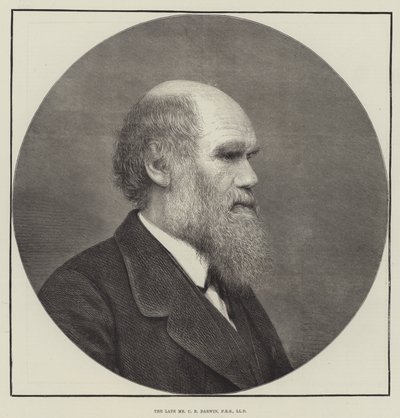 Zesnulý pan CR Darwin, FRS, LLD od English School