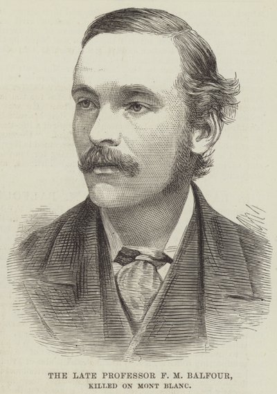 Zesnulý profesor F M Balfour, zabit na Mont Blanc (rytina) od English School