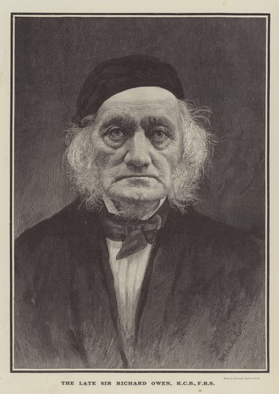 Zesnulý Sir Richard Owen, KCB, FRS (rytina) od English School