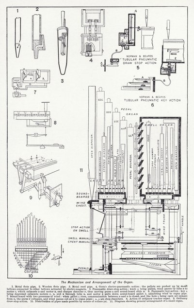 Mechanismus a uspořádání varhan (litho) od English School