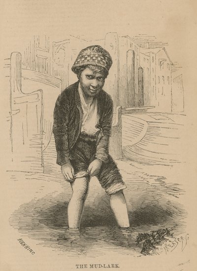 Skřivan bahenní od English School