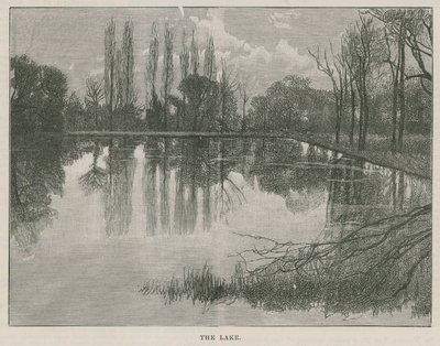 Nový veřejný park v Highgate: jezero od English School