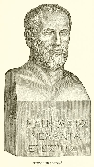 Theophrastos od English School