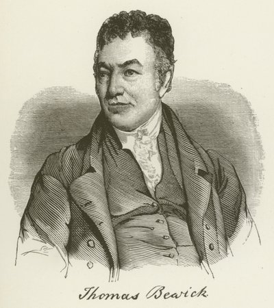 Thomas Bewick (rytina) od English School