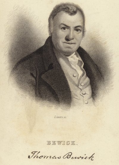 Thomas Bewick od English School