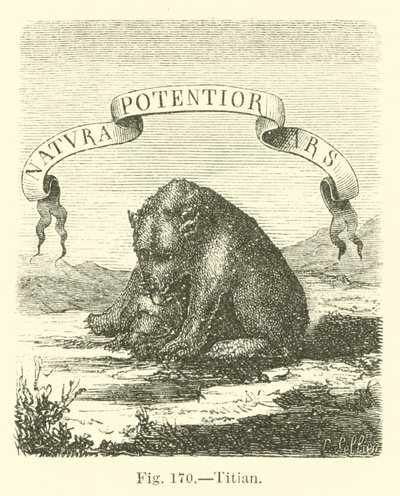 Tizian od English School