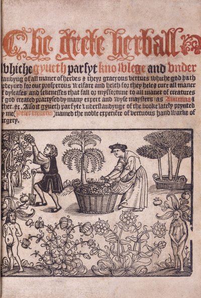 Titulní strana ilustrující zahradní scénu s postavami, 1529 od English School