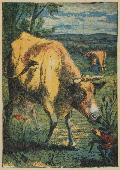 Tom Thumb and the Cow (barva lito) od English School