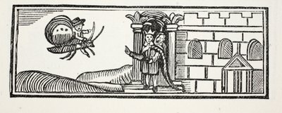 Tom se schoval a pokusil se uniknout na hřbetě motýla, ilustrace z knihy Chap-books of the Eighteenth Century od Johna Ashtona, vyd. 1882 od English School