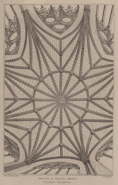 Tracery klenutých stropů (rytina) od English School
