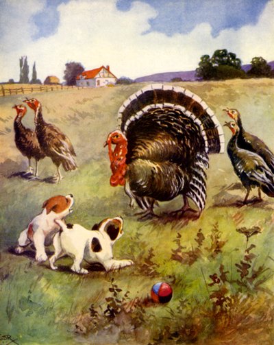 Krůty v nesnázích (barva lito) od English School