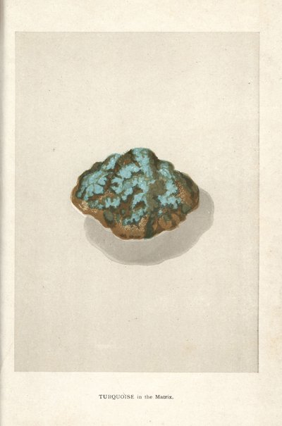 Tyrkys v matrici, z knihy Edwina Streetera „Precious Stones and Gems“, London, George Bell & Sons od English School