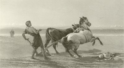 Ulysses brázdí mořské pobřeží (hlubotisk) od English School