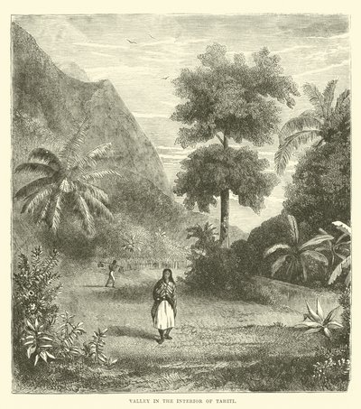 Údolí ve vnitrozemí Tahiti od English School