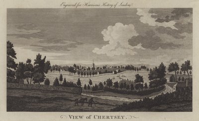Pohled na Chertsey, Surrey (rytina) od English School