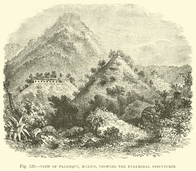 Pohled na Palenque, Mexiko, ukazující pyramidové struktury od English School