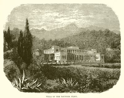 Vila mladšího Plinia od English School