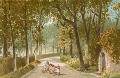 Vinchelez Lane--Jersey od English School