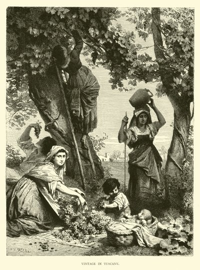 Ročník v Toskánsku od English School
