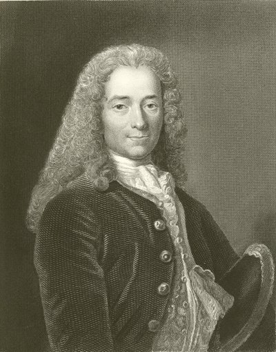 Voltaire von English School