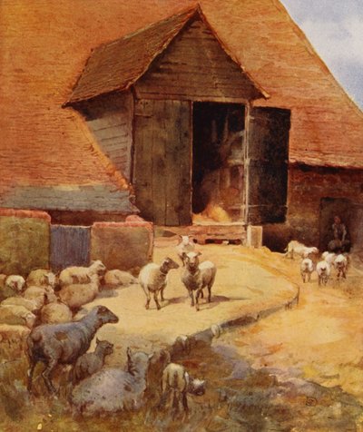 Waiting to Be Shorn (barevné lito) od English School