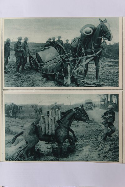 Váleční koně tonoucí v bahně, severní Francie, srpen 1917 od English School