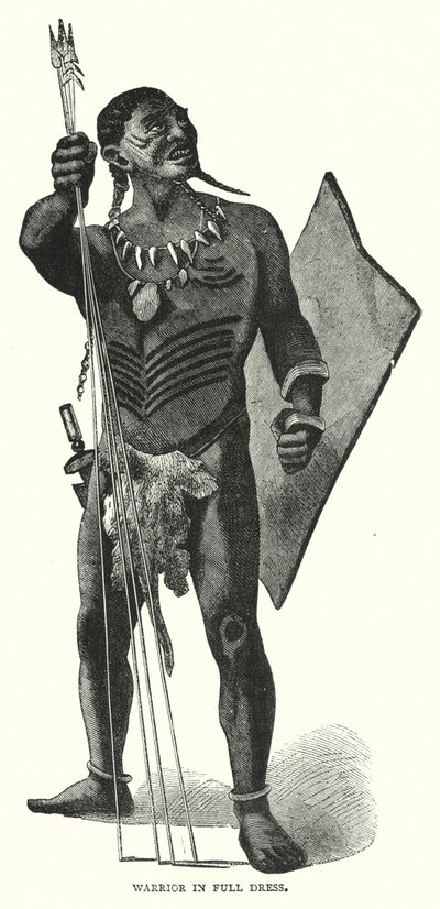 Warrior in Full Dress (rytina) od English School