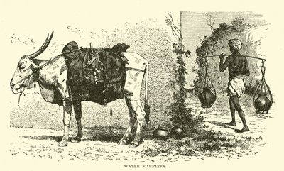 Nosiče vody od English School