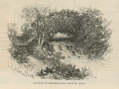 Vodopád v parku Tichborne od English School