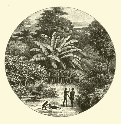 západní Afrika od English School