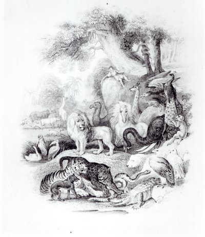 Divoká zvířata z „Dějiny Země a animované přírody“ od Olivera Goldsmitha, Londýn, 1840 od English School