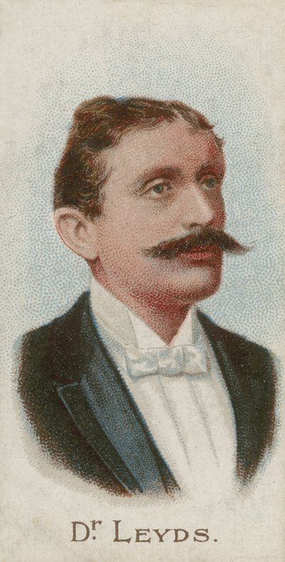 Willem Johannes Leyds , holandský právník a státník od English School