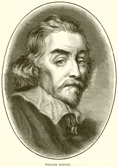 William Harvey od English School