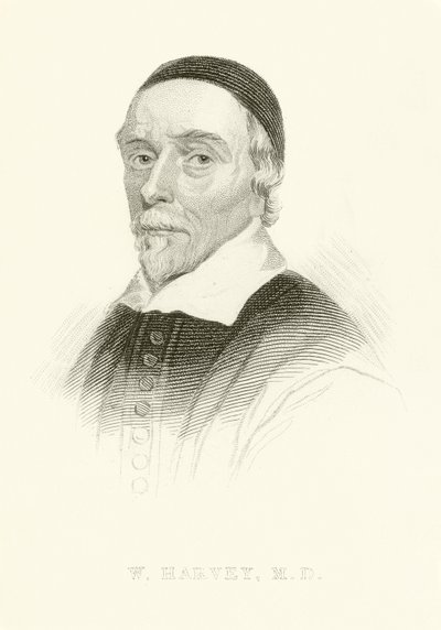 William Harvey od English School
