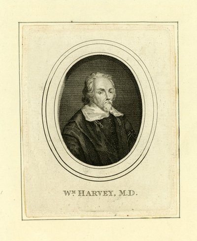 William Harvey od English School