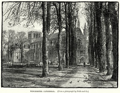 Winchesterská katedrála (rytina) od English School