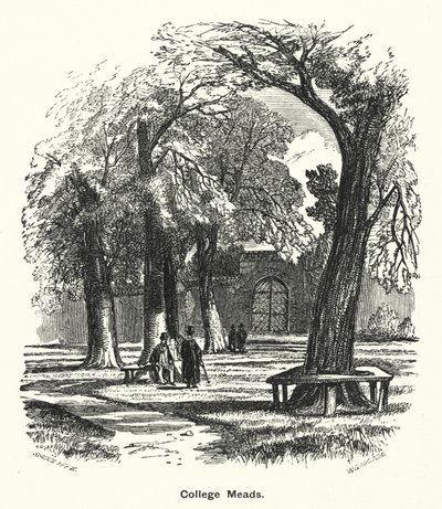 Winchester College: College Meads (rytina) od English School