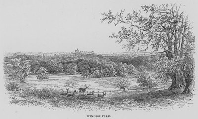 Windsor Park (rytina) od English School