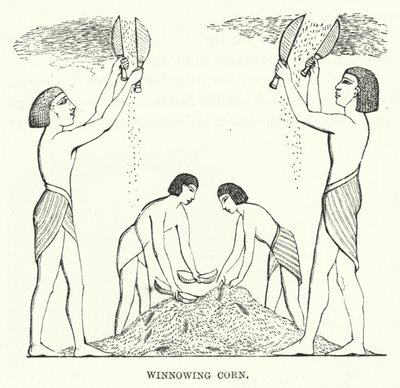 Winnowing Corn (rytina) od English School